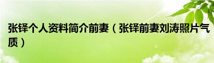 张铎个人资料简介前妻（张铎前妻刘涛照片气质）