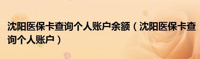 沈阳医保卡查询个人账户余额（沈阳医保卡查询个人账户）