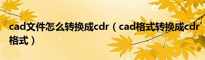 cad文件怎么转换成cdr（cad格式转换成cdr格式）