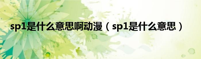 sp1是什么意思啊动漫（sp1是什么意思）