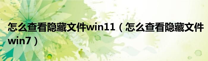 怎么查看隐藏文件win11（怎么查看隐藏文件win7）