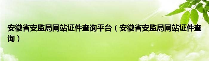 安徽省安监局网站证件查询平台（安徽省安监局网站证件查询）