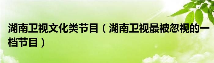 湖南卫视文化类节目（湖南卫视最被忽视的一档节目）