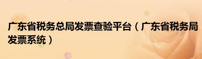 广东省税务总局发票查验平台（广东省税务局发票系统）