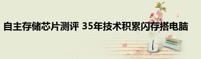 自主存储芯片测评 35年技术积累闪存搭电脑