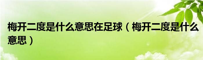 梅开二度是什么意思在足球（梅开二度是什么意思）