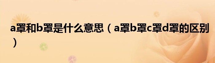 a罩和b罩是什么意思（a罩b罩c罩d罩的区别）