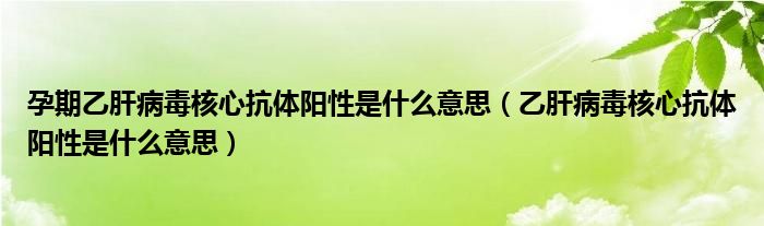 孕期乙肝病毒核心抗体阳性是什么意思（乙肝病毒核心抗体阳性是什么意思）