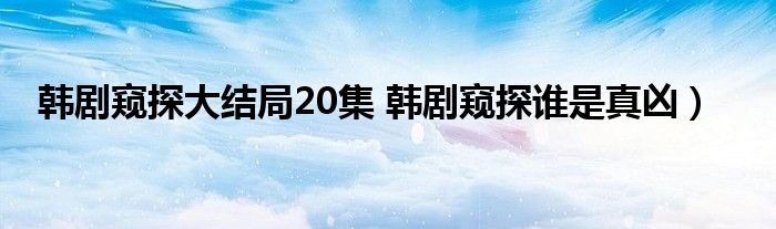 韩剧窥探大结局20集 韩剧窥探谁是真凶）