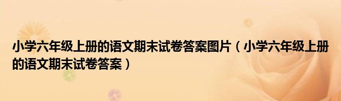 小学六年级上册的语文期末试卷答案图片（小学六年级上册的语文期末试卷答案）