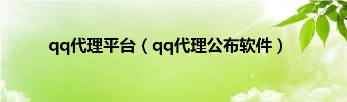 qq代理平台（qq代理公布软件）