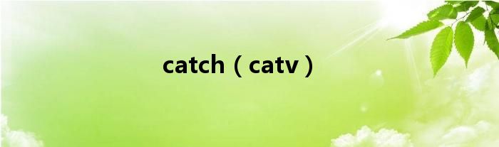 catch（catv）