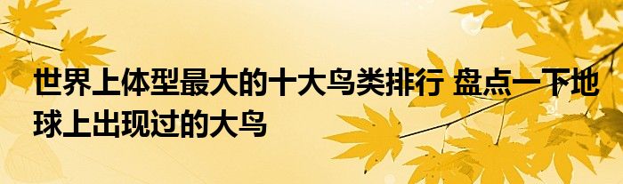 世界上体型最大的十大鸟类排行 盘点一下地球上出现过的大鸟