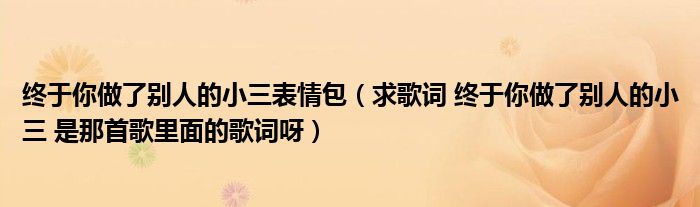 终于你做了别人的小三表情包（求歌词 终于你做了别人的小三 是那首歌里面的歌词呀）