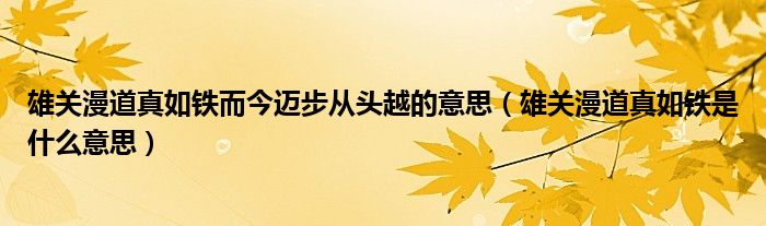 雄关漫道真如铁而今迈步从头越的意思（雄关漫道真如铁是什么意思）