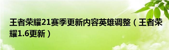 王者荣耀21赛季更新内容英雄调整（王者荣耀1.6更新）