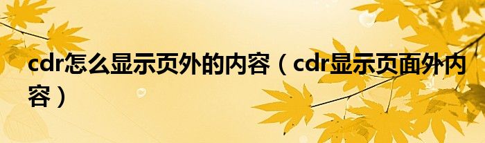 cdr怎么显示页外的内容（cdr显示页面外内容）