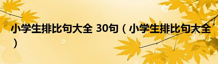 小学生排比句大全 30句（小学生排比句大全）