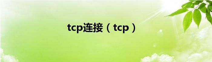 tcp连接（tcp）