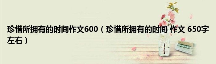 珍惜所拥有的时间作文600（珍惜所拥有的时间 作文 650字左右）