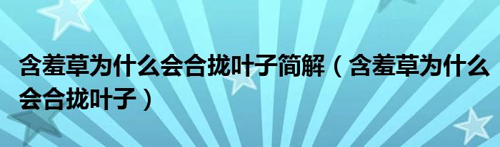 含羞草为什么会合拢叶子简解（含羞草为什么会合拢叶子）