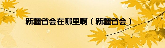 新疆省会在哪里啊（新疆省会）