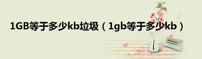 1GB等于多少kb垃圾（1gb等于多少kb）