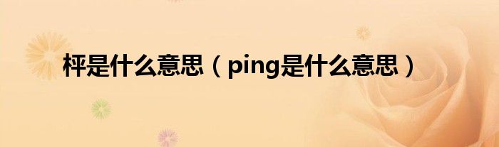 枰是什么意思（ping是什么意思）