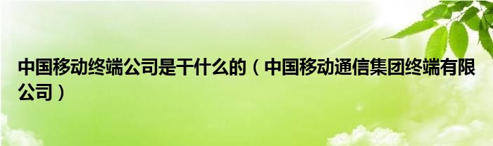 中国移动终端公司是干什么的（中国移动通信集团终端有限公司）