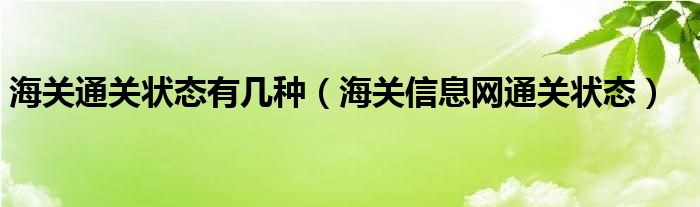 海关通关状态有几种（海关信息网通关状态）