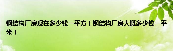 钢结构厂房现在多少钱一平方（钢结构厂房大概多少钱一平米）