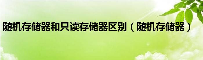 随机存储器和只读存储器区别（随机存储器）