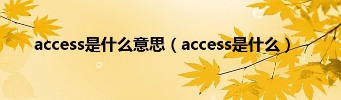 access是什么意思（access是什么）