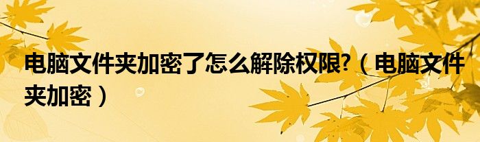 电脑文件夹加密了怎么解除权限?（电脑文件夹加密）