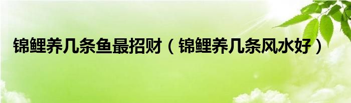 锦鲤养几条鱼最招财（锦鲤养几条风水好）