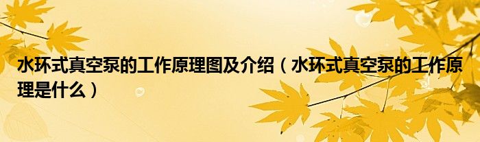 水环式真空泵的工作原理图及介绍（水环式真空泵的工作原理是什么）