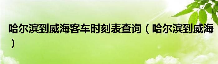 哈尔滨到威海客车时刻表查询（哈尔滨到威海）