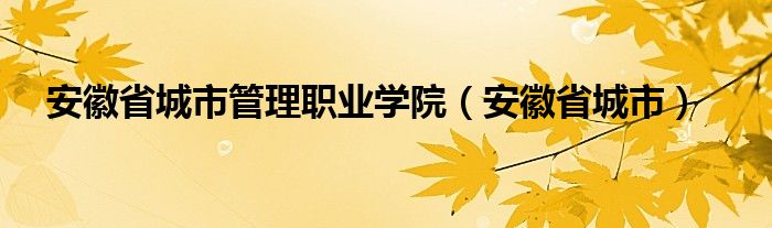 安徽省城市管理职业学院（安徽省城市）