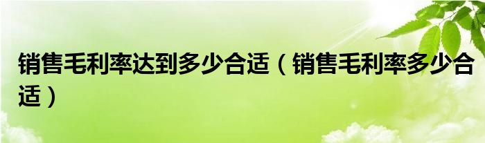 销售毛利率达到多少合适（销售毛利率多少合适）