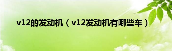 v12的发动机（v12发动机有哪些车）