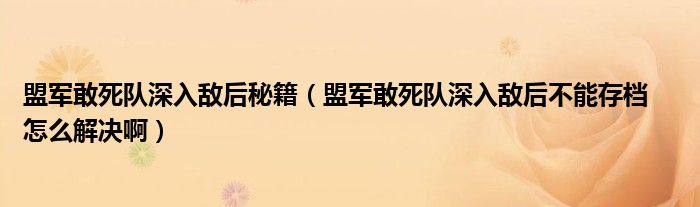 盟军敢死队深入敌后秘籍（盟军敢死队深入敌后不能存档    怎么解决啊）