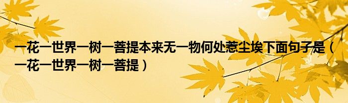 一花一世界一树一菩提本来无一物何处惹尘埃下面句子是（一花一世界一树一菩提）