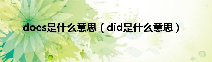 does是什么意思（did是什么意思）