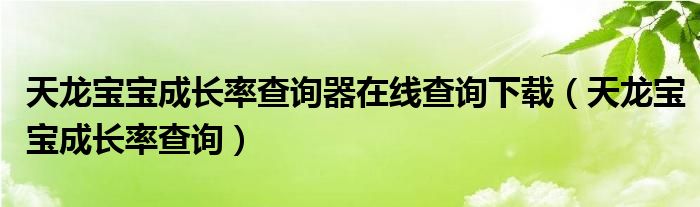 天龙宝宝成长率查询器在线查询下载（天龙宝宝成长率查询）