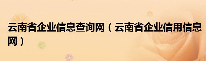 云南省企业信息查询网（云南省企业信用信息网）