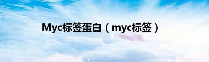 Myc标签蛋白（myc标签）