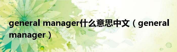 general manager什么意思中文（general manager）