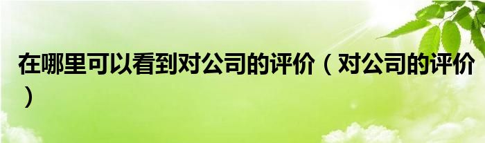 在哪里可以看到对公司的评价（对公司的评价）