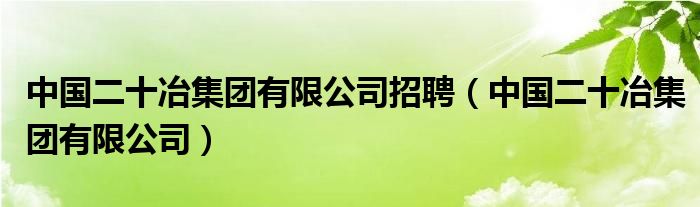 中国二十冶集团有限公司招聘（中国二十冶集团有限公司）