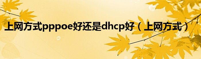 上网方式pppoe好还是dhcp好（上网方式）